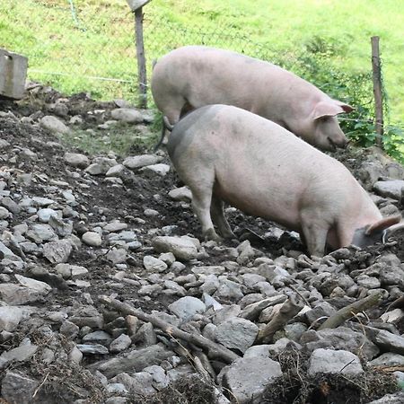 Boglerhof Apartman Uderns Kültér fotó