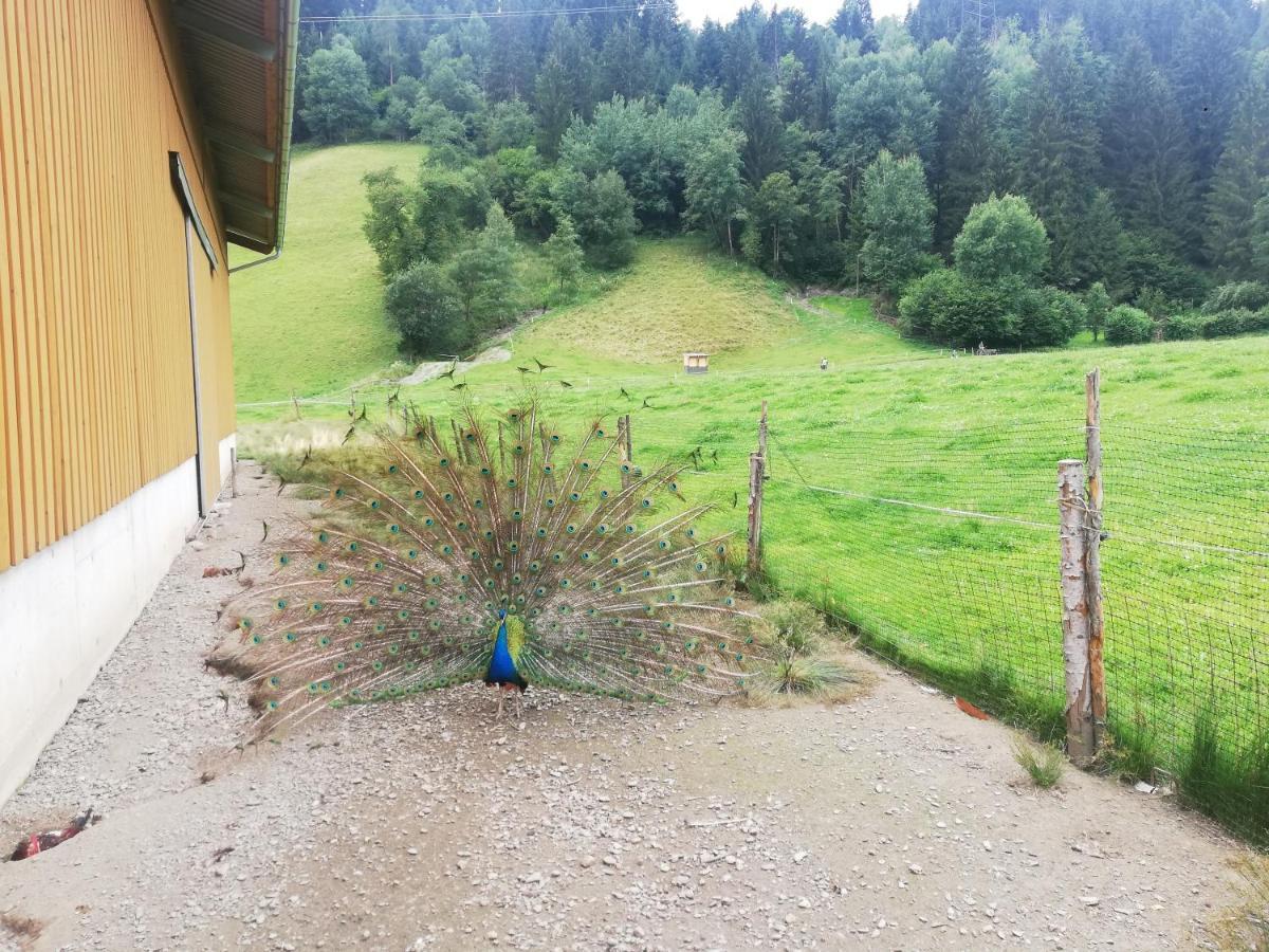 Boeglerhof Apartman Uderns Kültér fotó