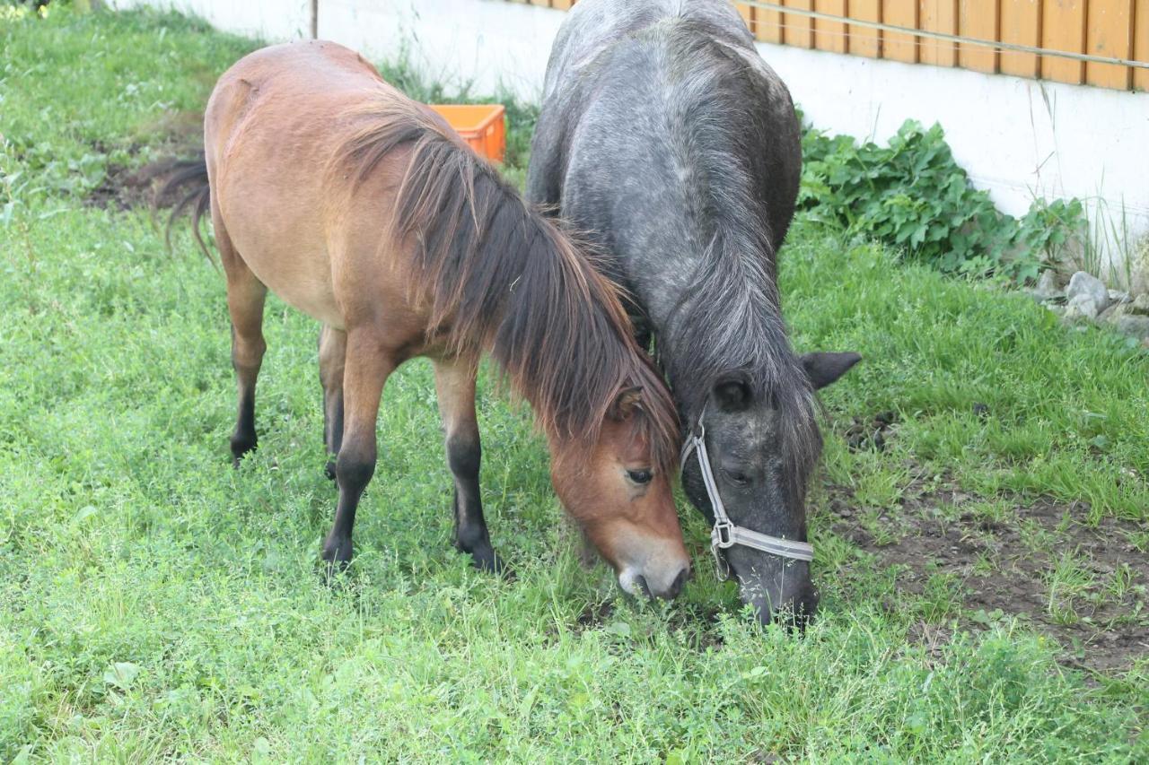 Boeglerhof Apartman Uderns Kültér fotó
