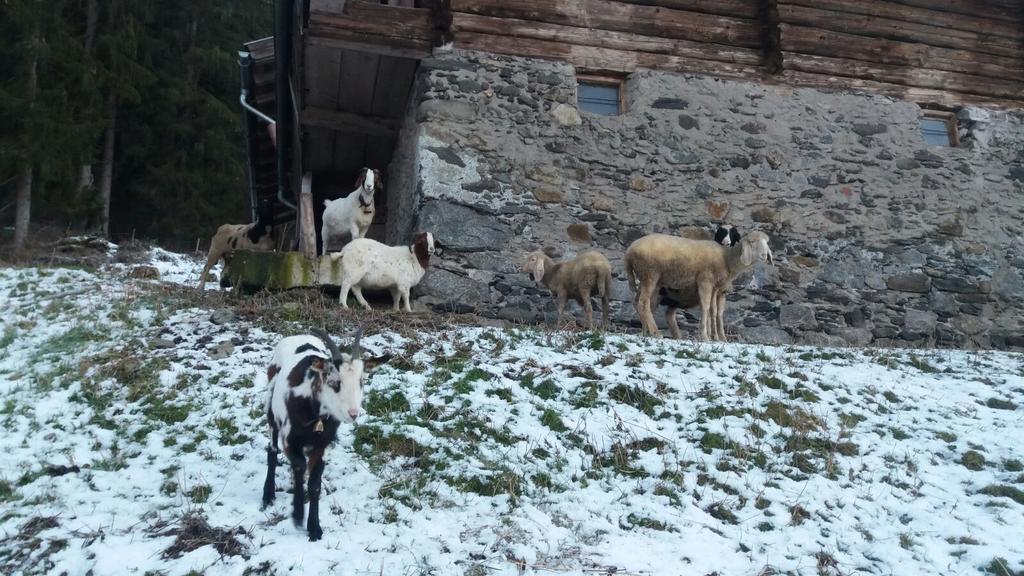 Boeglerhof Apartman Uderns Kültér fotó