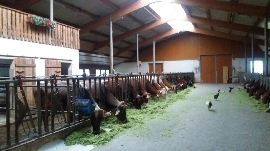 Boeglerhof Apartman Uderns Kültér fotó